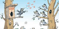 Обманутые вкладчики: кто виноват?