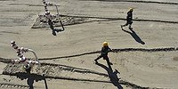 Где добылась, там и пригодилась