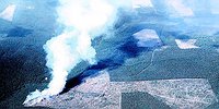 ЕСТЬ ТАКАЯ ПРОФЕССИЯ - РОДИНУ ТУШИТЬ