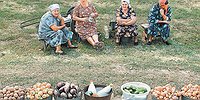 Созревший плод ошибок