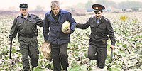 Приговор дороже денег