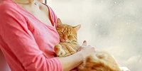 Едим, гладим по шерстке – и радуемся