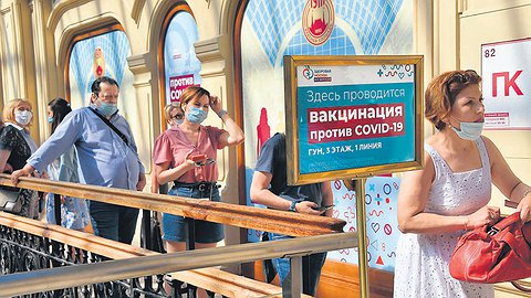 На прививку как на работу