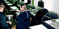 Точка в Царском деле