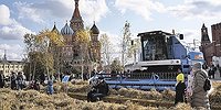 Почему отечественный агропром слишком зависит от импорта