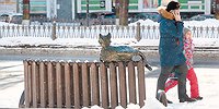 Огонь, вода и лопнувшие трубы