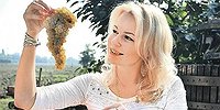 Вино и немцы: Поднимутся ли цены на алкоголь