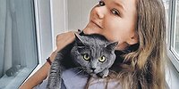 Поедем, хвостатый, на дачу