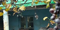 Сказка о русском рыбаке и грузинской рыбке