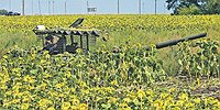 «Бои идут, поголовье гибнет»