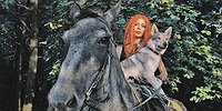 Псы полка и батальонные коты